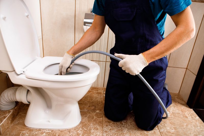 Toilet Plunging in Denver, CO
